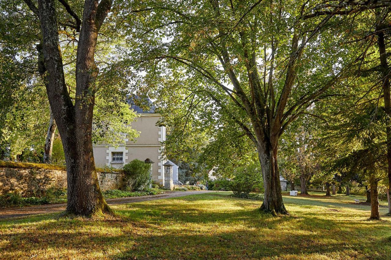 La Jagee Bed & Breakfast Cheillé Exterior photo